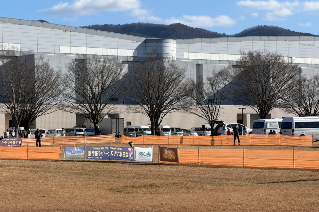 クイーンズ選手権 第3戦 IN 山形の写真(新潟県新潟市中央区)